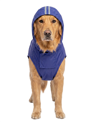 Canes Venatici New Raincoat (colors may vary)