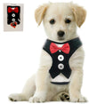 Whoof Whoof Bow Tie Tuxedo Harness With Leash