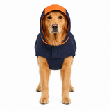 Canes Venatici Raincoat - Dark Blue