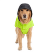Canes Venatici Raincoat - Neon Green