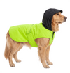 Canes Venatici Raincoat - Neon Green