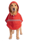 Canes Venatici New Raincoat (colors may vary)