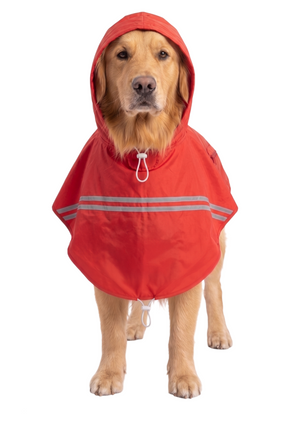 Canes Venatici New Raincoat (colors may vary)