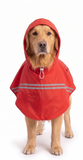 Canes Venatici New Raincoat (colors may vary)