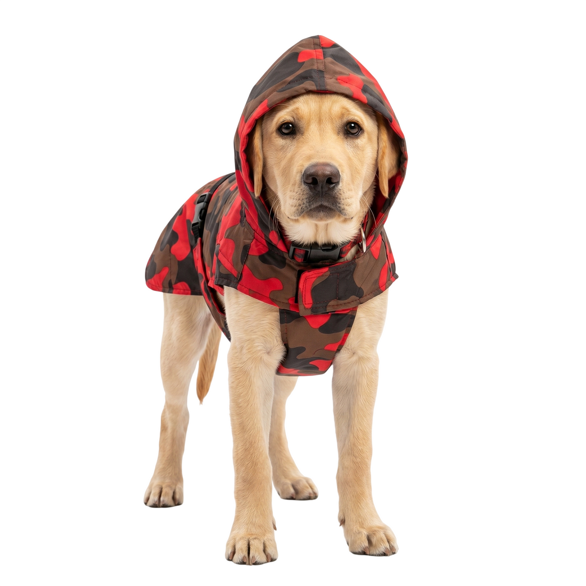 Kennel Printed Color Raincoat - Red