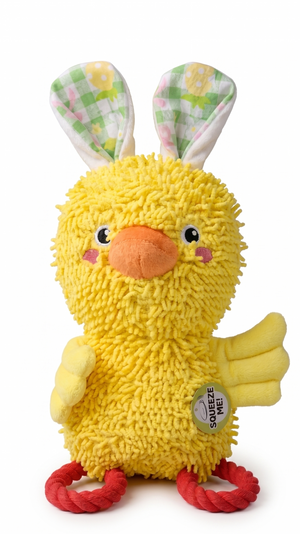 Fofos Easter Noodle Plush Rope Duck Dog Toy