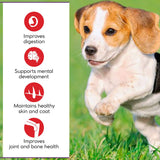 Drools Small Breed Puppy Dry Dog Food