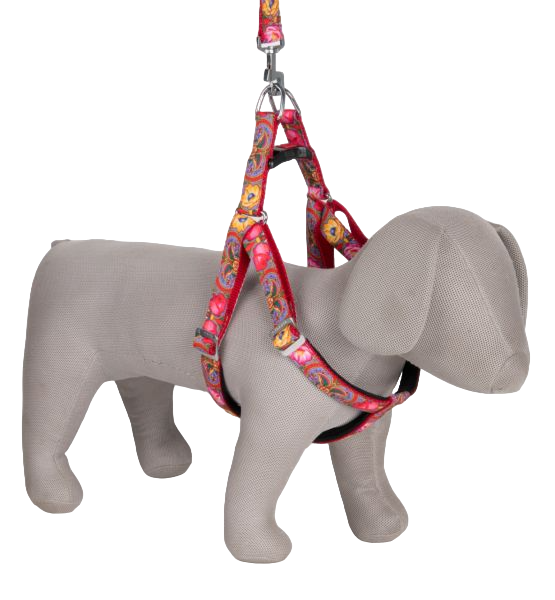 Kennel Uran Prints Padded Adjustable Harness & Leash Set = 1 Inch