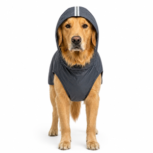 Canes Venatici Raincoat - Black