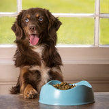 BecoPets Bamboo Bowl For Dog - Blue