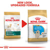 Royal Canin Golden Retriever Puppy Dry Food