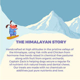 Captain Zack Cheese Please Himalayan Dental Chew Bars Dog Treats