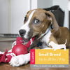 Kong Ball With Rope Dog Toy