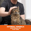 Wahl - No-Rinse Waterless Oatmeal Cat Shampoo