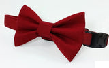 Petrapolis Bow Collar