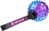 Gigwi Regular Ball Push To Mute Dog Toy - Blue/Purple