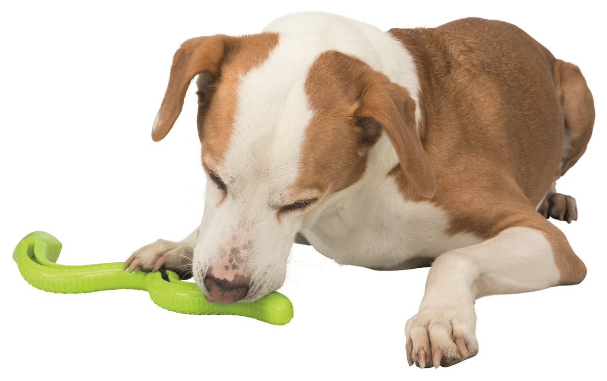 Trixie Snack Snake Thermoplastic Rubber Dog Toy