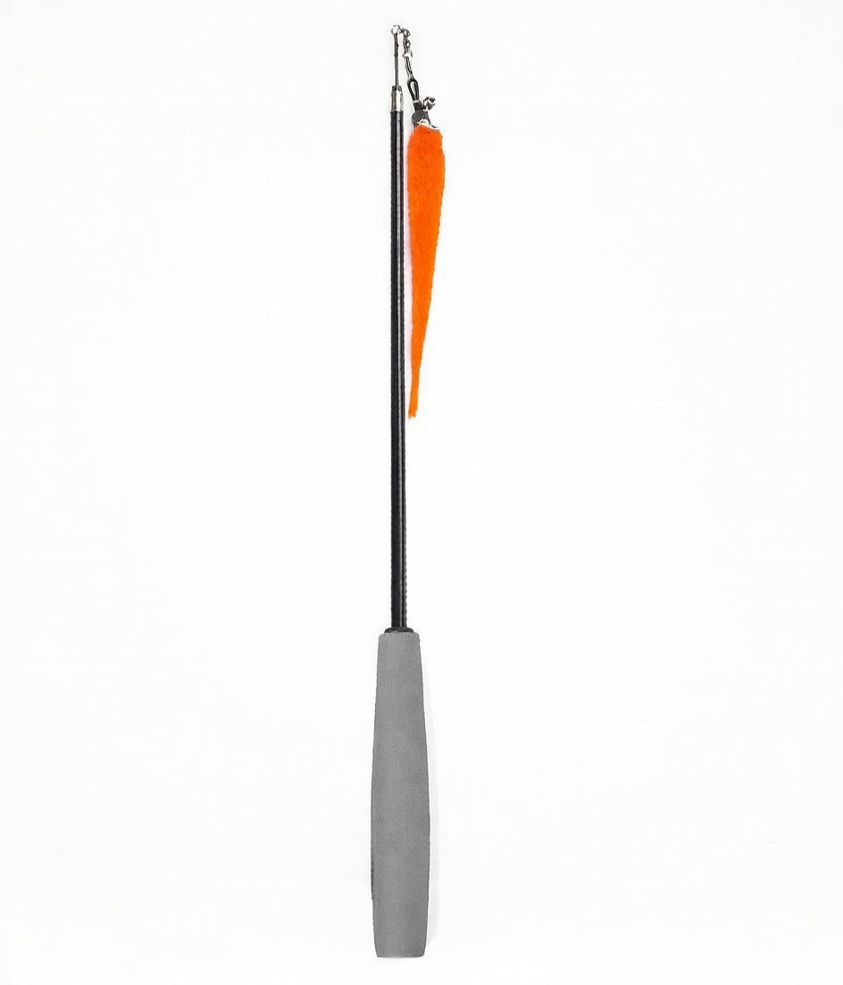 Fofos Retractable Worm Teaser Stick Cat Toy