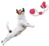 Petropolis Self-Playing Vaccum With Rubber Ball Rope Dog Toy