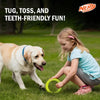 Nefr Dog Dental Tug Ring Dog Toy - Green