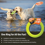 Nefr Dog Dental Tug Ring Dog Toy - Green