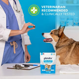 Glandex : Anal Gland Support Chews – Peanut Butter Flavor for Dogs