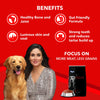 Drools Focus Adult All Breeds