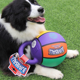 Gigwi Jumball Basket Ball With Rubber Handle Dog Toy (Small)