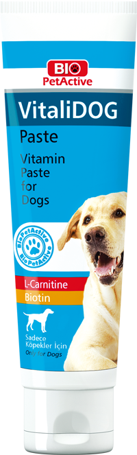 Bio Petactive: VitaliDOG - Vitamin Paste for Dogs with L-Cartine & Biotin
