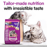 Whiskas Junior Mackerel Flavour Cat Dry Food