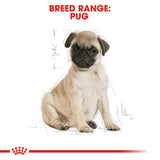 Royal Canin Pug Puppy Dry Food