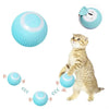 Paw Story Automatic Rotating Rolling Cat Teaser Ball with LED Light (Color May Vary)