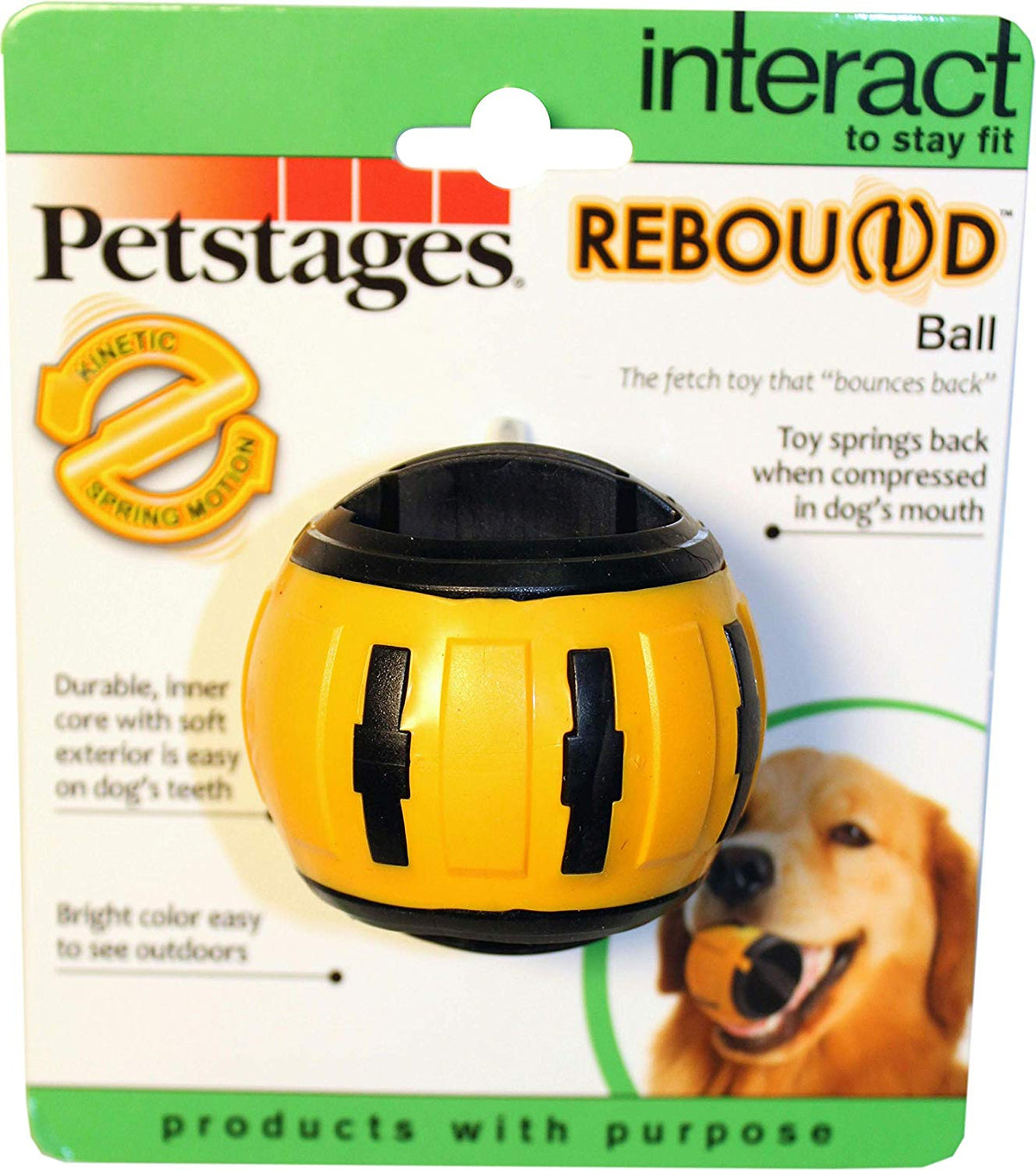 Petstages Rebound Fetch Ball Toy