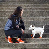 Pawz Waterproof Dog Boots - X Small - Orange 12 PCS