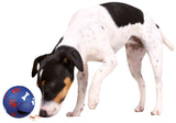 Trixie Ball With Paw Prints Vinyl Dog Toy
