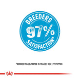 Royal Canin Starter Medium Breed Mother & Babydog Dry Food