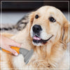 Wahl De Shedder For Dog