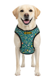 Kennel Printed Step In Harness