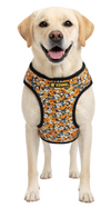 Kennel Printed Step In Harness