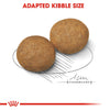 Royal Canin Medium Adult Dog Dry Food