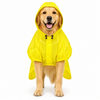 Canes Venatici Full Body Raincoat