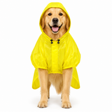 Canes Venatici Full Body Raincoat