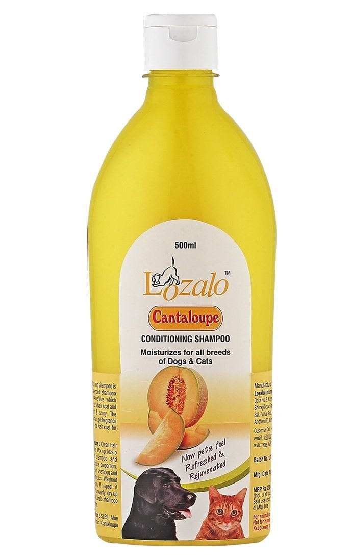Lozalo 'Cantaloupe' Conditioning Shampoo