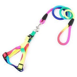 Petropolis Multicolor Rope Leash & Harness set