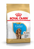 Royal Canin Cocker Spaniel Puppy Dry Food