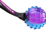 Gigwi Regular Ball Push To Mute Dog Toy - Blue/Purple