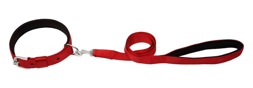 Kennel Padded Nylon Collar Set & Leash (1")