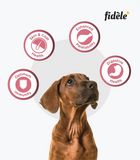 Fidele Small & Medium Puppy Food