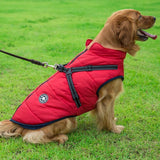 Pawz Dog Coat With Built In Harness