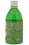 Lozalo Anti Dandruff  With Cucumber Extract Long Hair Coat Shampoo For Dogs & Cats